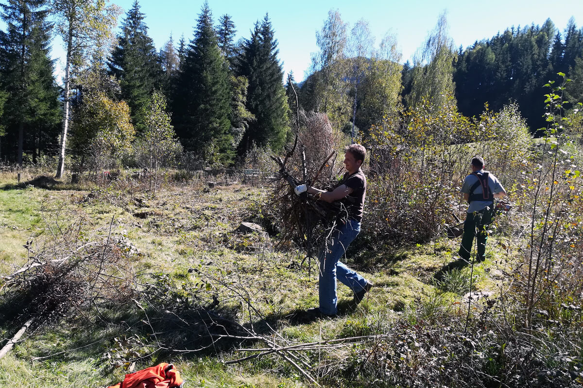 Schwendung im hauseigenen Moor vom Naturpark-Partnerbetrieb Kirchmoar (Foto: Naturpark Zirbitzkogel-Grebenzen)