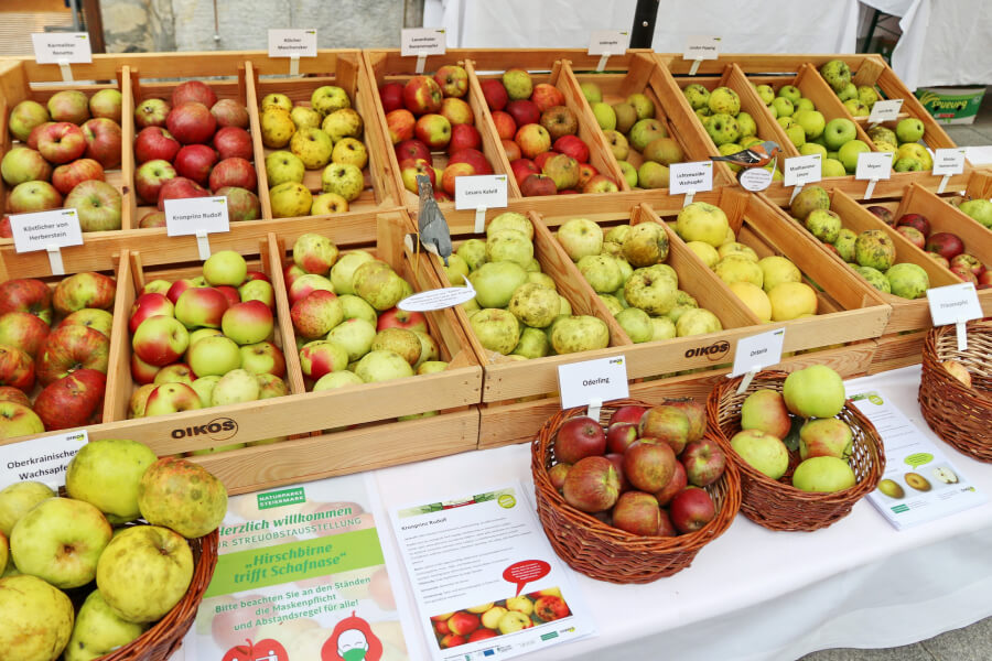Impressionen aus Graz, Foto: OIKOS