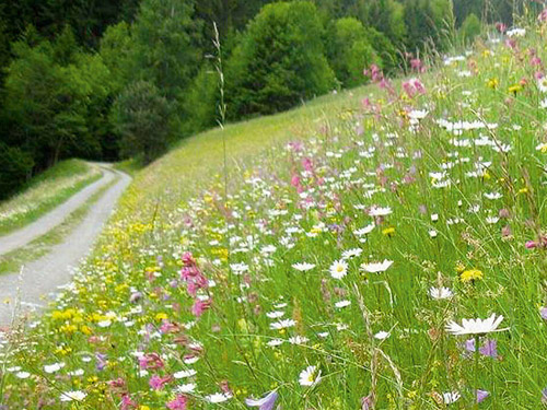 Natur wirkt!