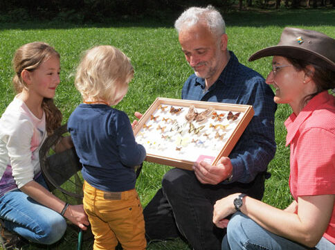 Schmetterlinge in den Kärntner Naturparken