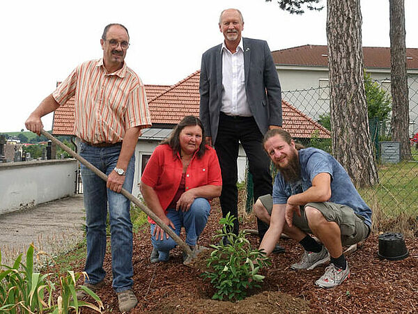 Biodiversität verwurzeln