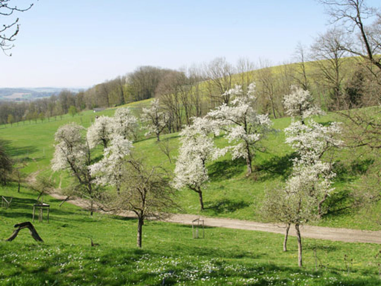 Foto: Naturpark Obst-Hügel-Land