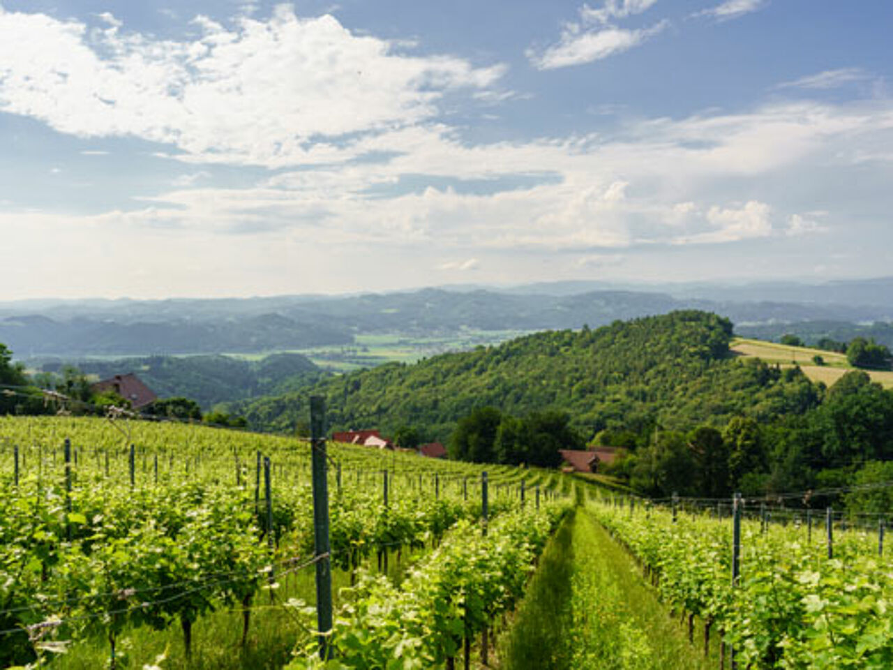 Foto: RM SW GmbH_tinefoto.com