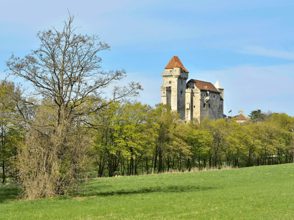 Föhrenberge