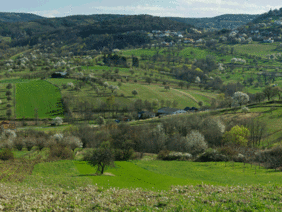 Foto: Naturpark Rosalia-Kogelberg 