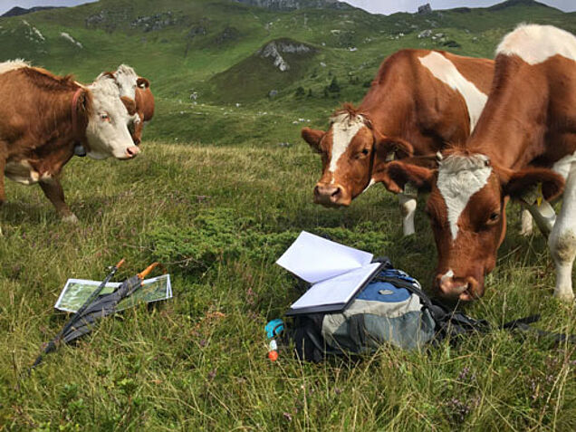 Foto: Naturpark Riedingtal