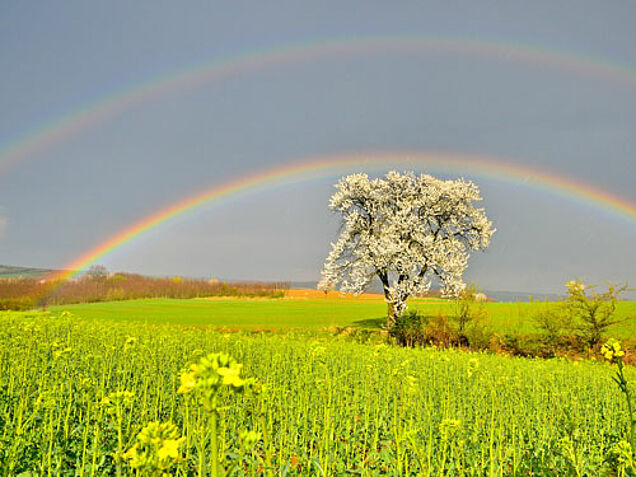 Foto: Ewald Neffe
