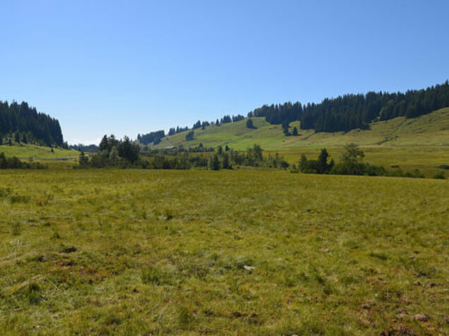 Foto: Naturpark Nagelfluhkette