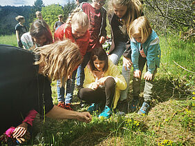 Foto: Naturpark Weissensee