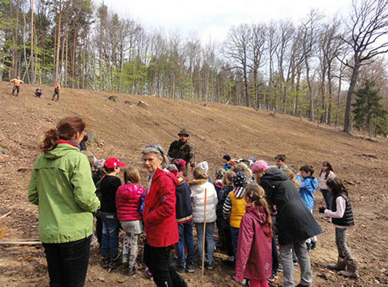 Foto: Naturpark Sparbach