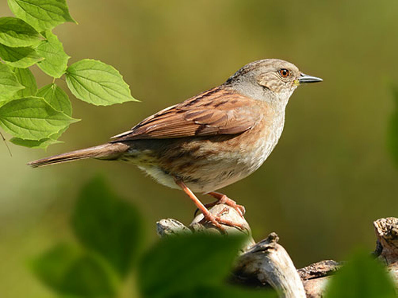 Foto: Fotolia/K.-U. Häßler