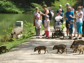 Foto: Naturpark Sparbach