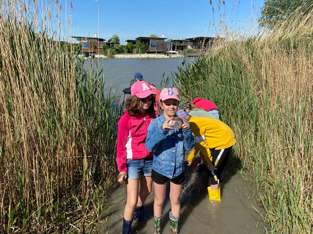 Foto: Naturpark Neusiedler See