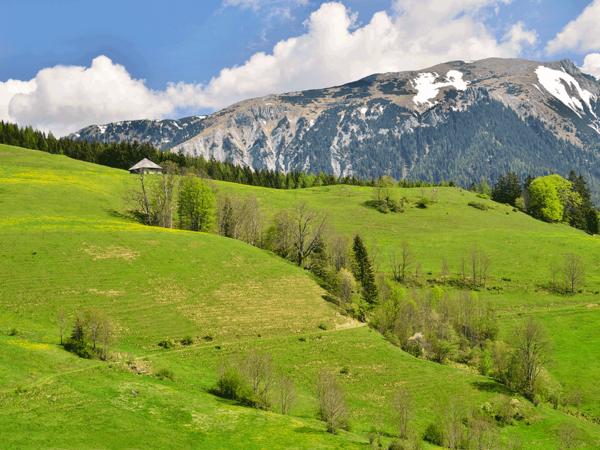 Mürzer Oberland