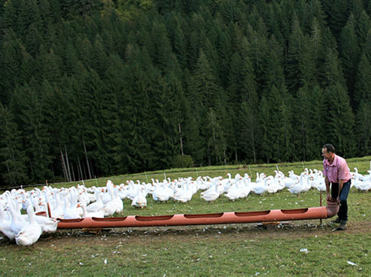 Foto: Plimon Petra, Christian Granitzer