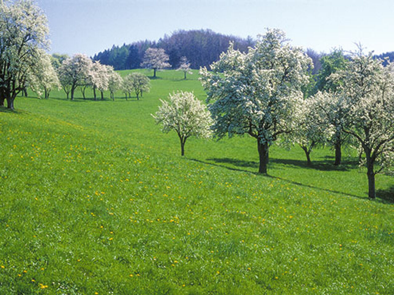 Foto: Klaus Wanninger