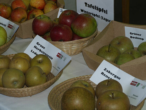 Alte Obstsorten wiedersehen & wiederschmecken