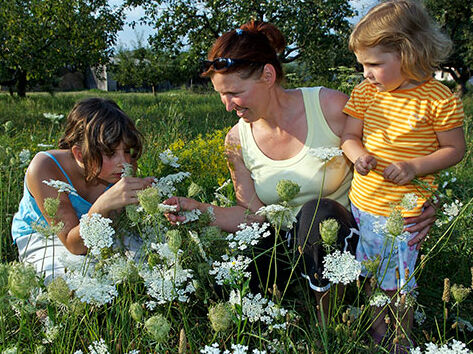 Biodiversität ... wie bitte?