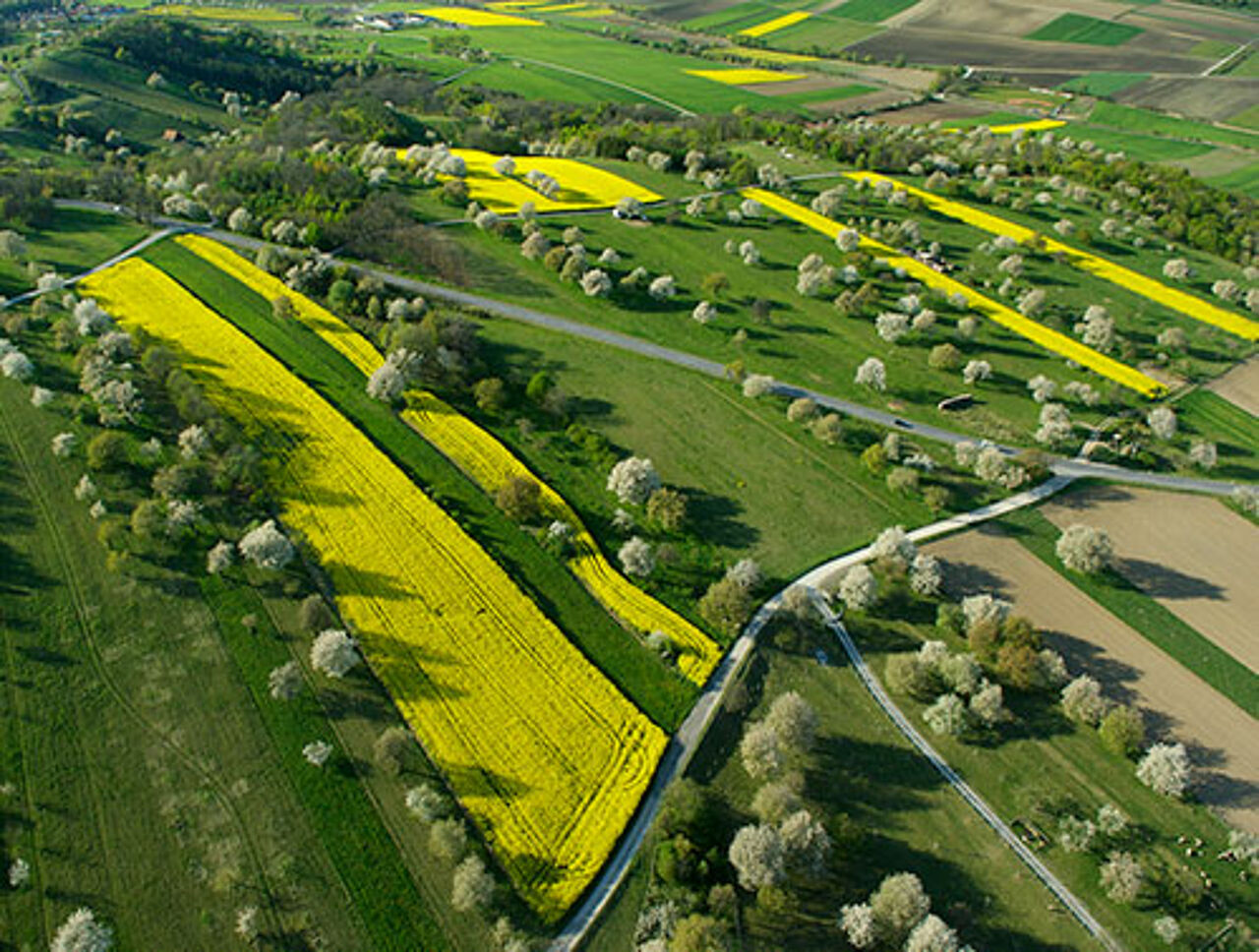 Foto: ARGE Naturparke Burgenland