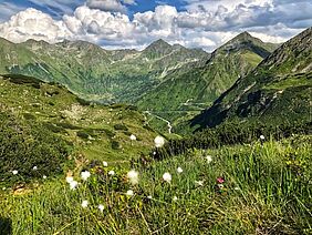 Foto: Naturpark Sölktäler