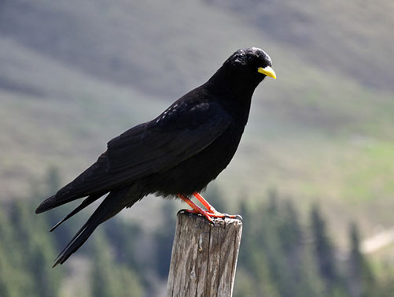 Foto: Fotolia/Christian Puppe