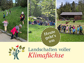Fotos: Naturpark Zirbitzkogel-Grebenzen, Maria Schipke, Naturpark Dobratsch.