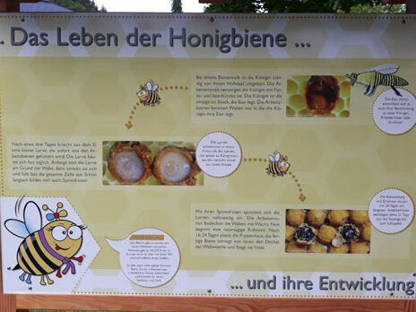Naturpark-Schule baut Bienenlehrpfad