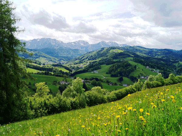 Attersee-Traunsee