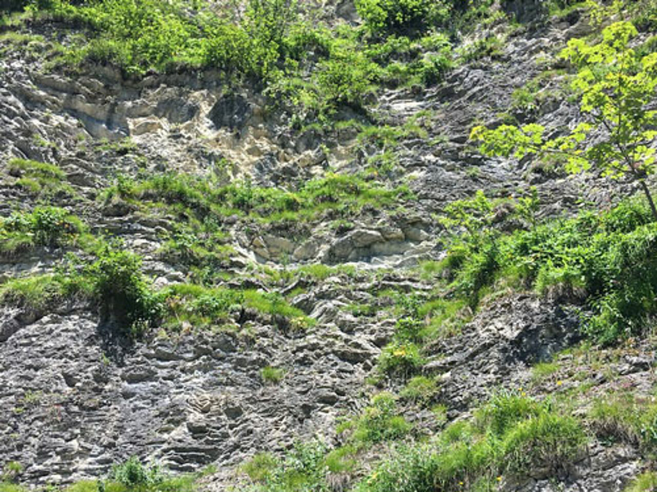 Foto: Naturpark Weißbach