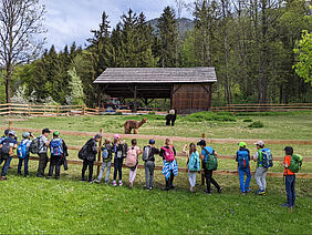 Foto Naturpark Dobratsch