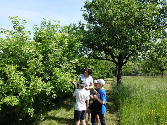 Foto: Naturpark Obst-Hügel-Land