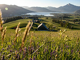 Foto: Tourismusverband Mondsee – Irrsee