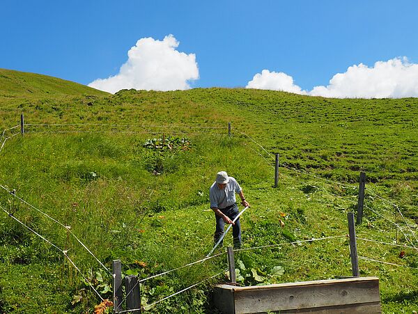 Naturschutzplan auf der Alm (Weißbach)