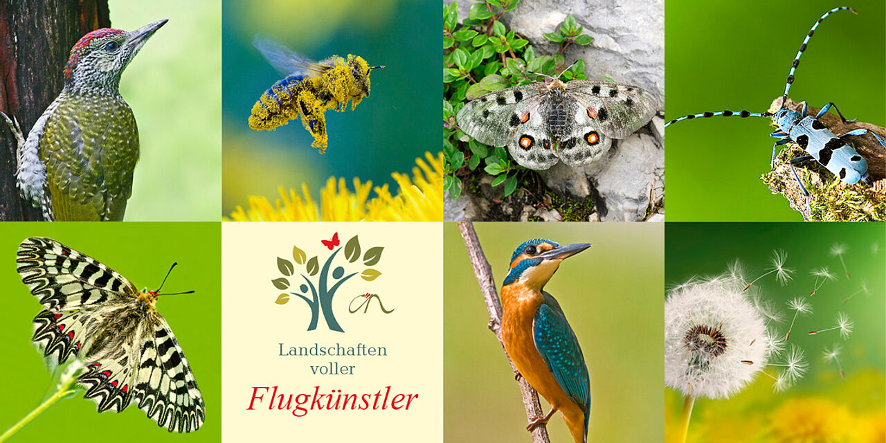 Fotos: fotolia/bessi7, S. Käfer, H. Marek, E. Neffe