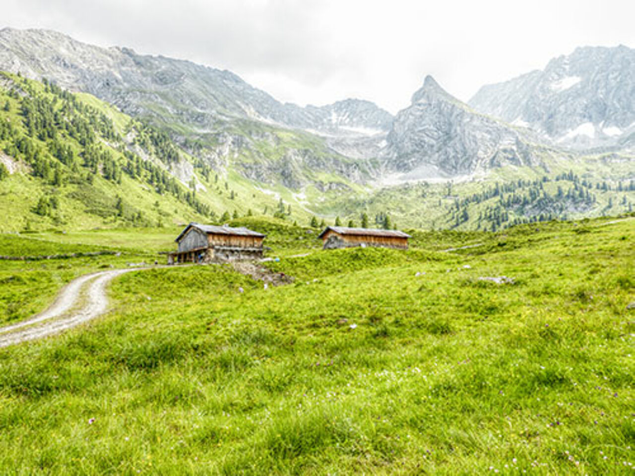 Foto: Paul Wechselberger