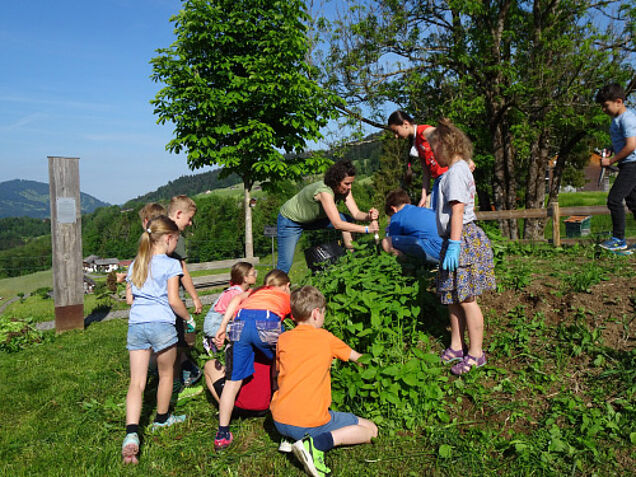 Foto: Naturpark Nagelfluhkette