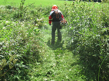 Arbeitsplätze in steirischen Naturparkregionen