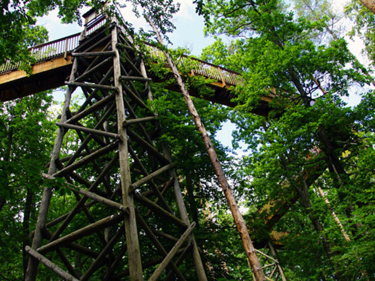 Foto: Naturpark-Verein Markt Neuhodis
