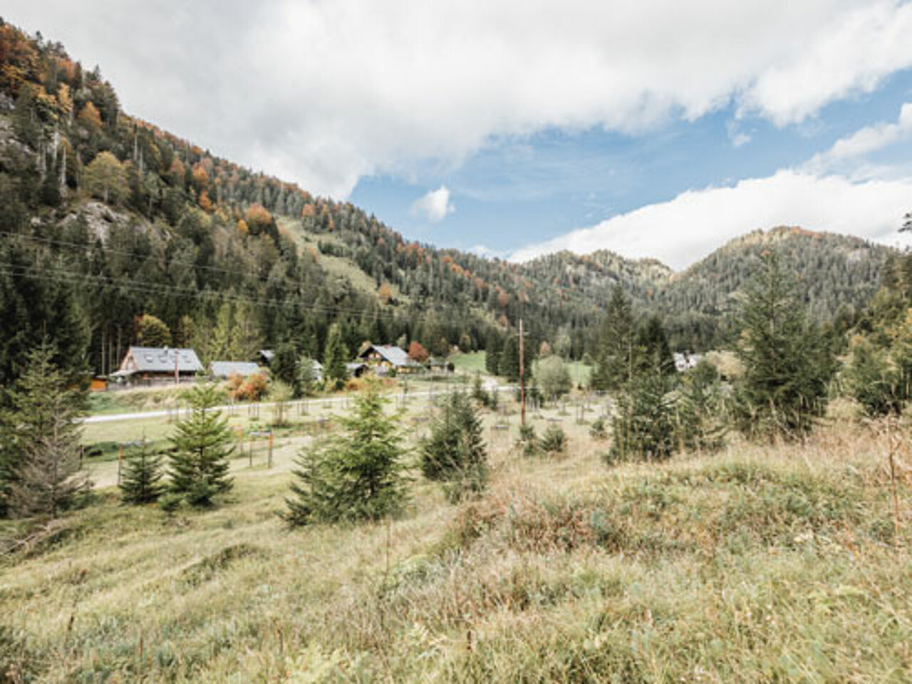 Foto: Thomas Sattler
