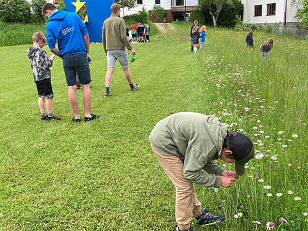 Foto: Naturpark NÖ Eisenwurzen