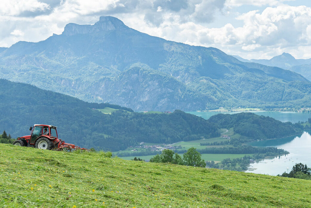 Foto: TVB Mondsee-Irrsee/Viktoriahof Auer