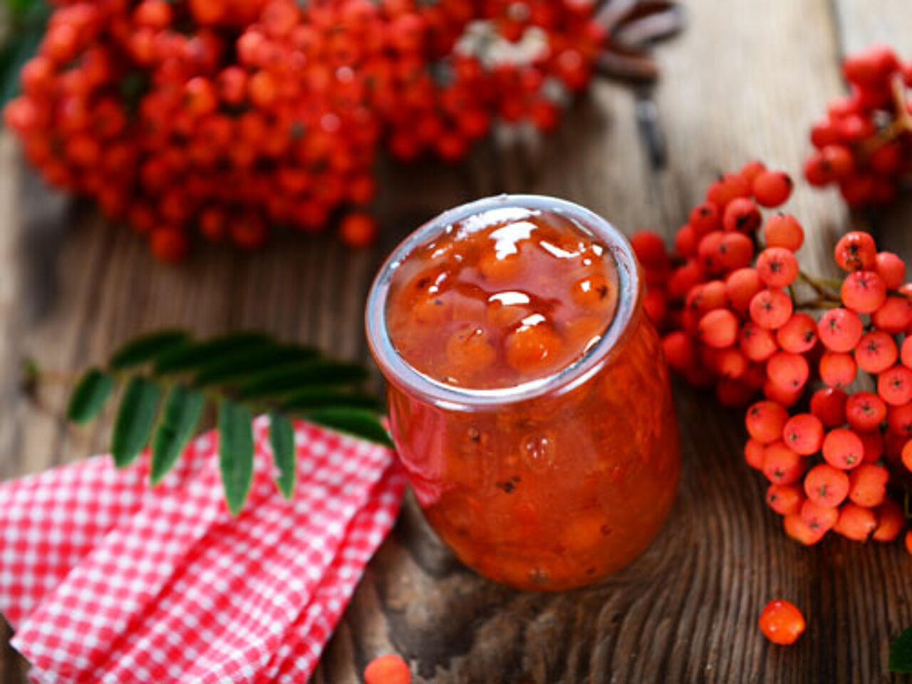 Foto: kwwasny221-stock.adobe.com
