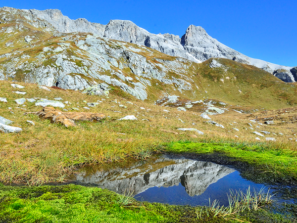 Lebensräume im Gebirge