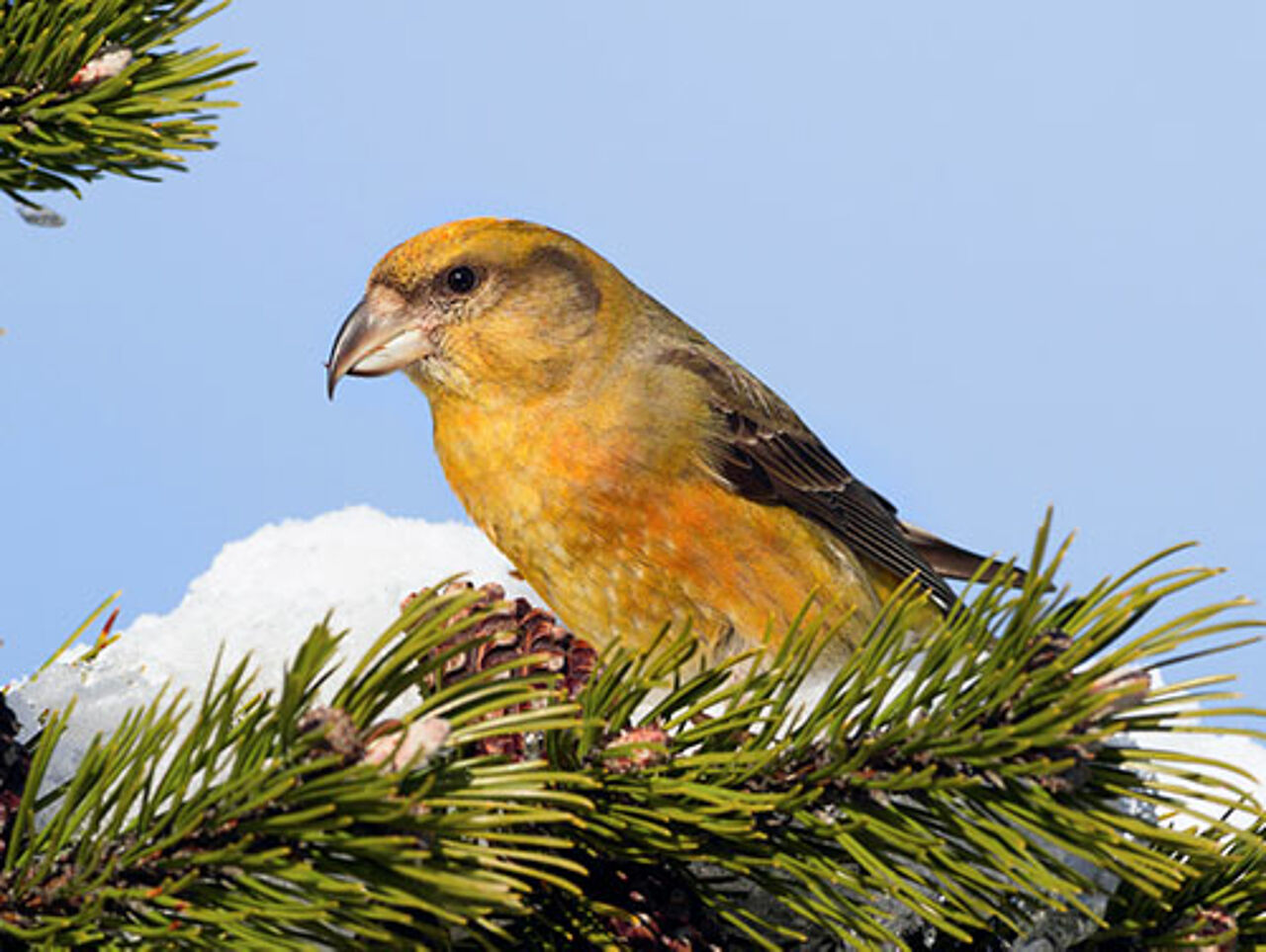 Foto: Fotolia/Alexander Erdbeer