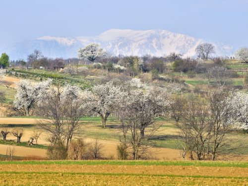 Landschaften voller Leben