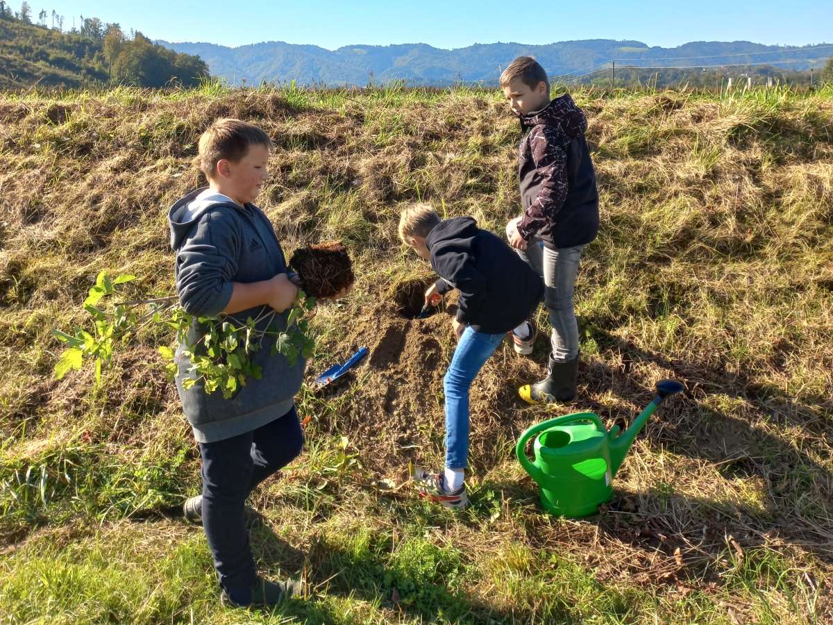 Bepflanzung einer Uferböschung im Naturpark Südsteiermark, Foto: VNÖ