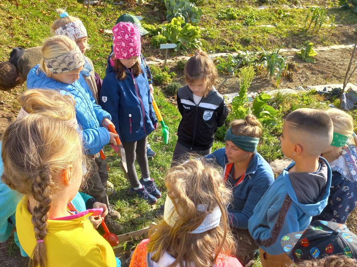 Anlegen von Kleinflächen mit Volksschulkindern im Naturpark Nagelfluhkette, Foto: VNÖ
