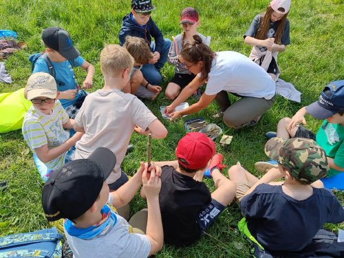Naturpark-Schulen erforschen Klimawandel