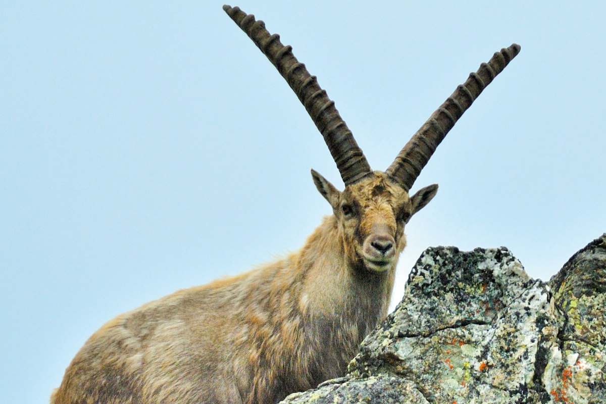 Foto: Herfried Marek