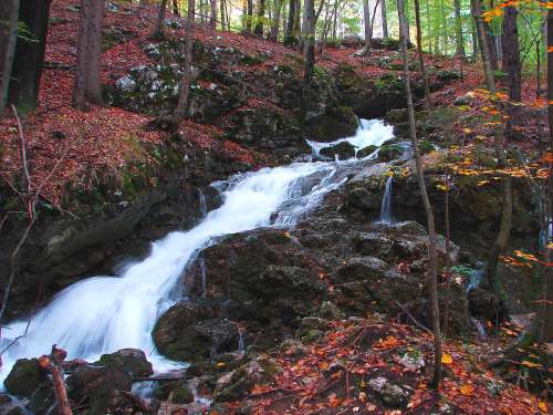 Quellen und Brunnen